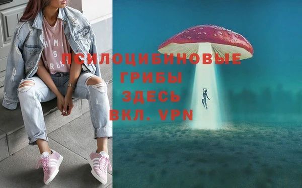 трава Навашино