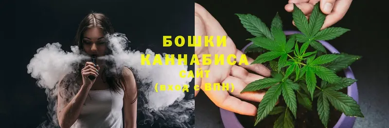 Бошки марихуана THC 21%  Ленинск 